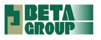 BETA GROUP logo wit